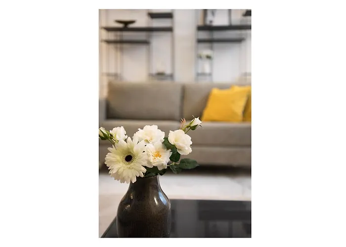 Luxury - Penthouse In Historic Center